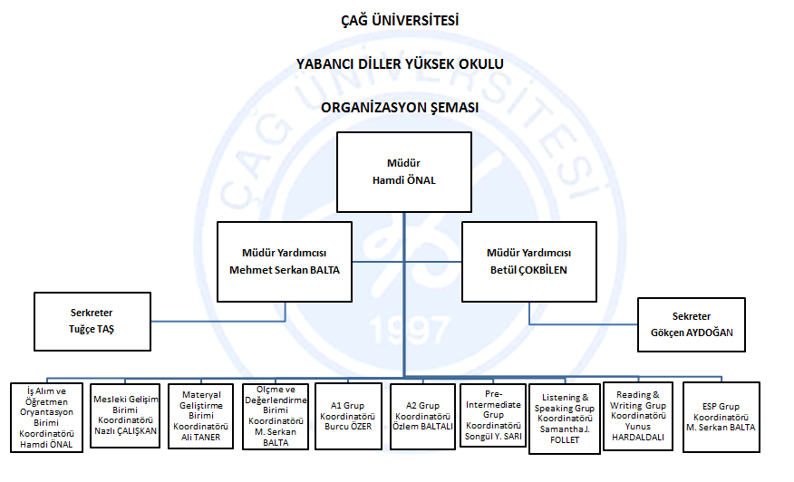 Organizasyon Semasi